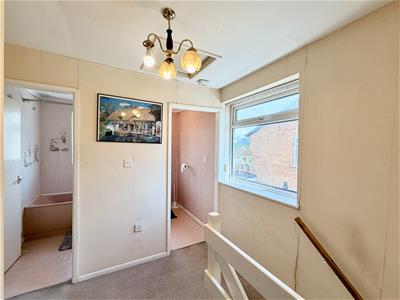 Picture 15